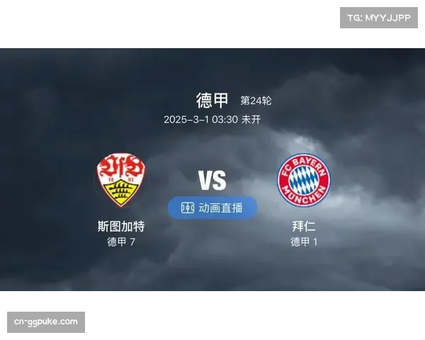 斯图加特主场胜率73%德甲顶级 梅赛德斯竞技场成抢分堡垒